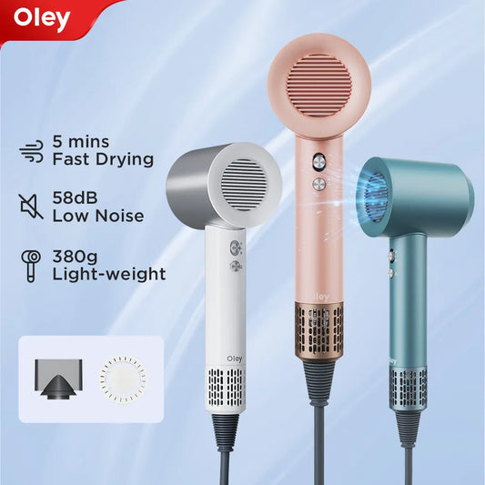 Oley-Negative Ion Hair Dryer